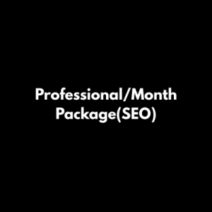 Professional SEO Package