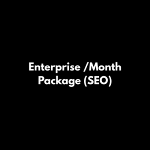 Enterprise SEO Package
