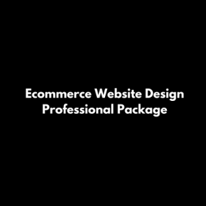 Ecommerce Website Design Professional Package